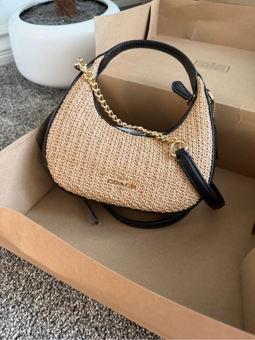 Authentic Brand New Coach Carmen Mini Crossbody Bag (Box & Dust Bag Inculed) - Picture 2 of 10